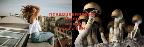 гашик Белокуриха