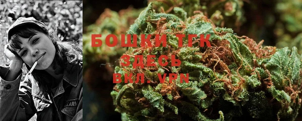 гашик Белокуриха