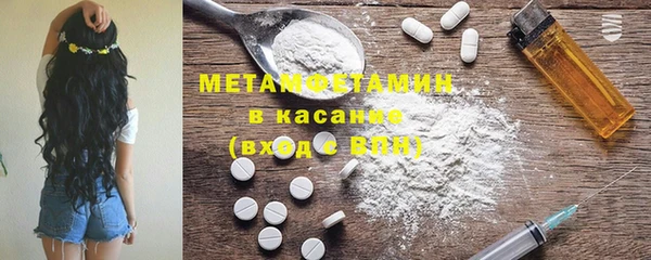 сатива Беломорск