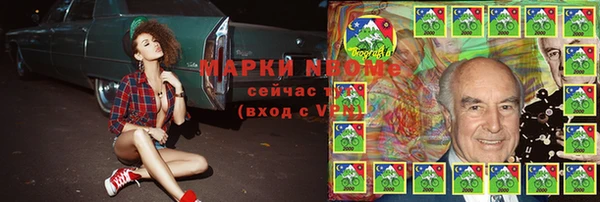 сатива Беломорск