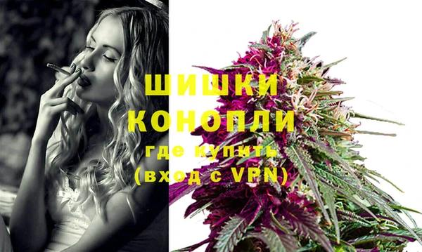 гашик Белокуриха
